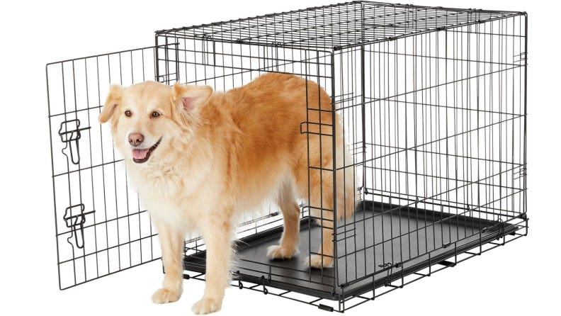 chewy crate